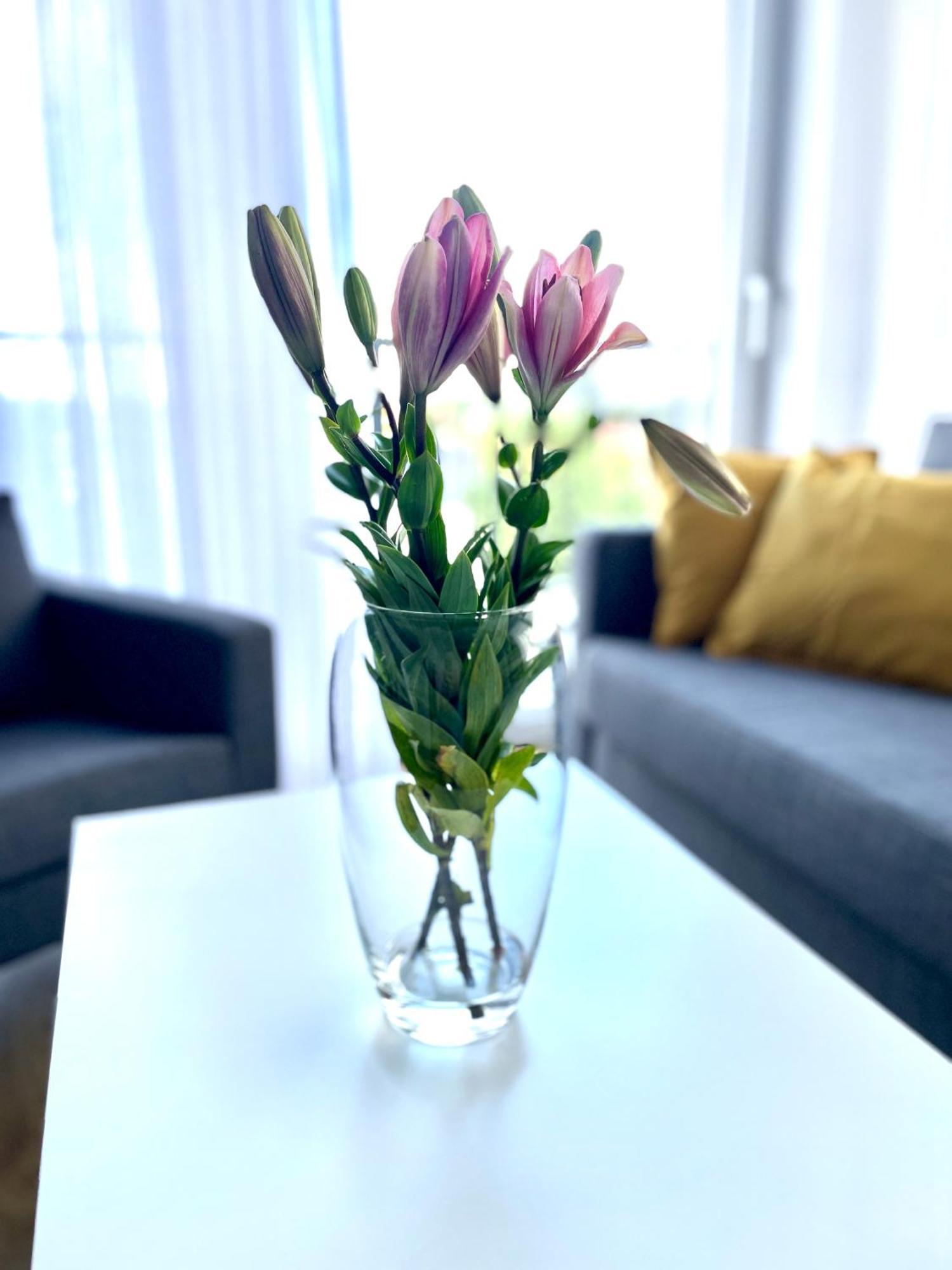 Sonja Apartment Затор Екстериор снимка